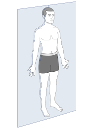 <p>A vertical plane that divides the body into front and back sections.</p>