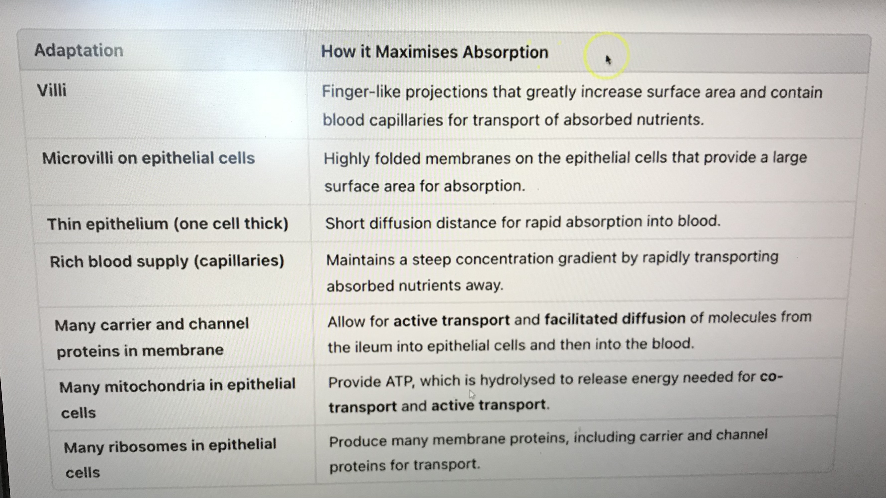 knowt flashcard image