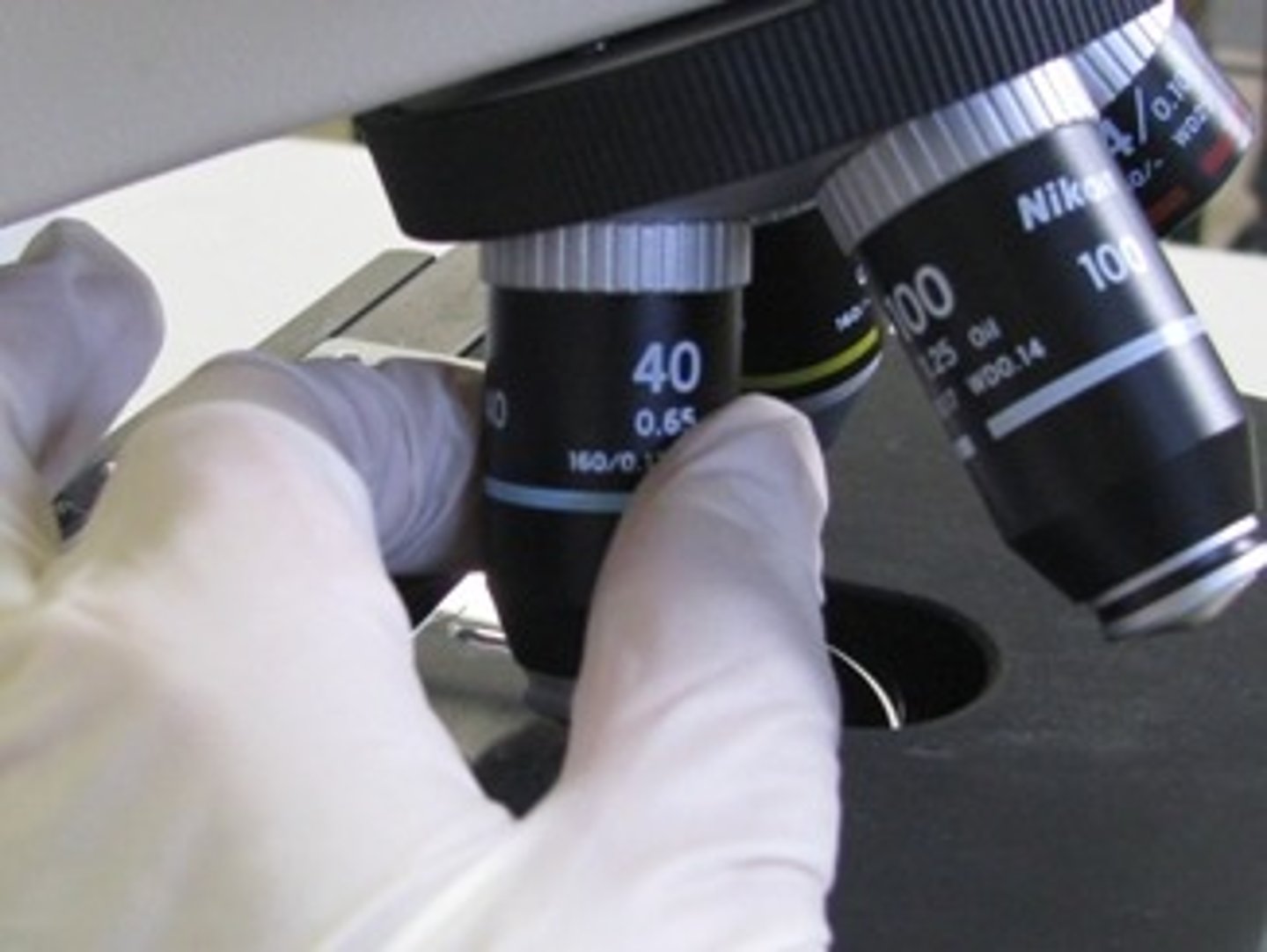 <p>A set of lenses above the stage that can be manually adjusted to provide a higher magnification</p>