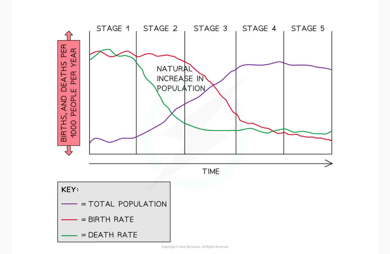 <p>What is the <strong>demographic transition model</strong> and what is it used for?</p>