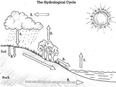 <p>Label the water cycle</p>