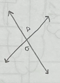 <p>non-adjacent angles formed by 2 intersecting lines</p>