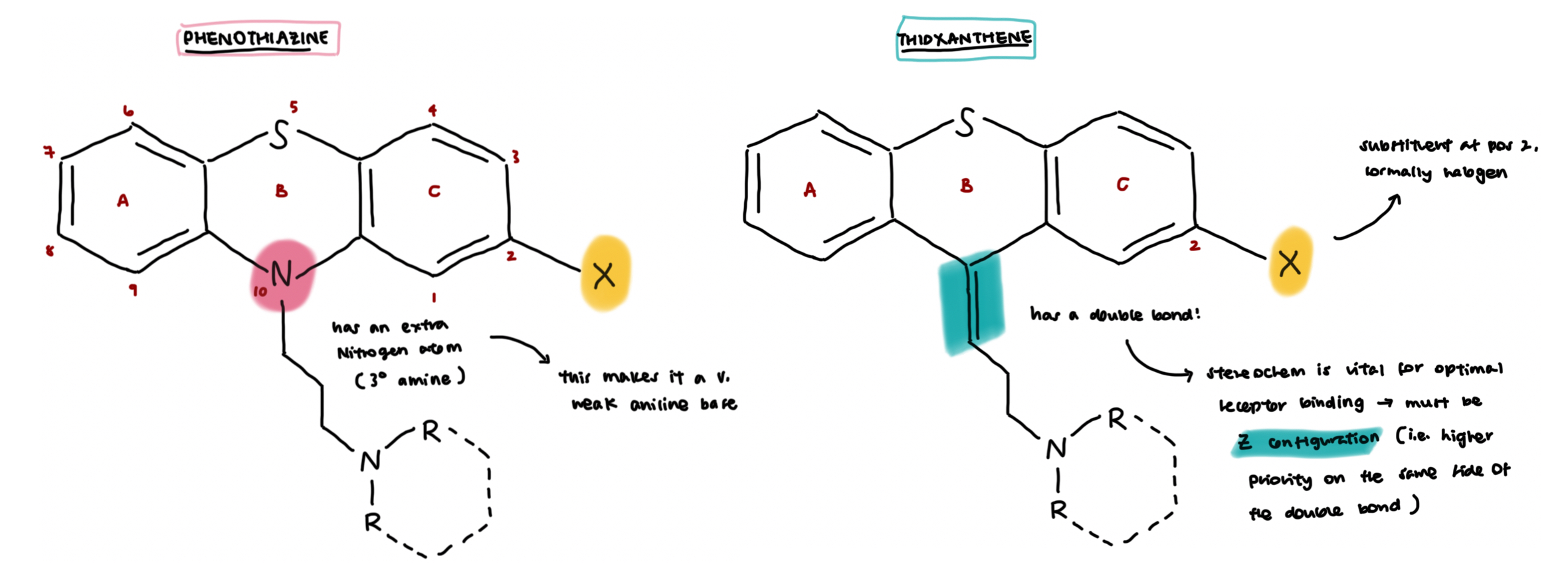 <ul><li><p>phenothiazines → extra N in aromatic ring structure</p></li><li><p>thioxanthenes → double bond in linker chain unit</p></li></ul><p></p>