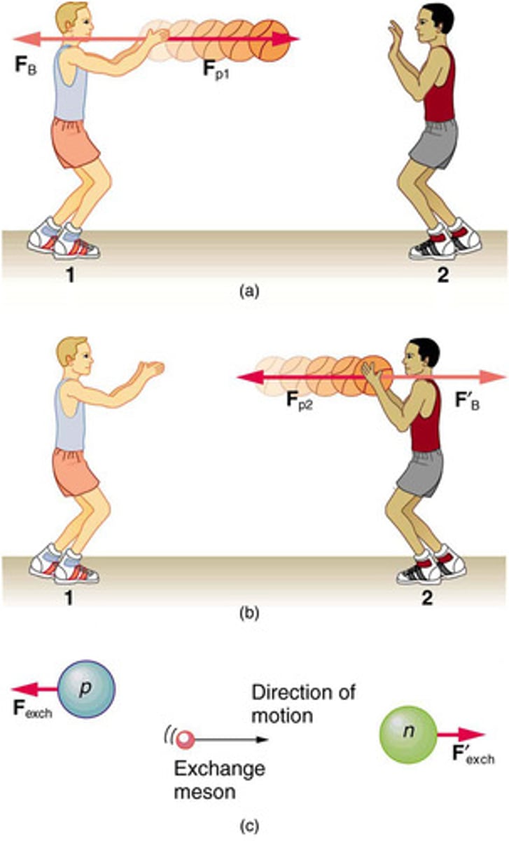 <p>The process by which forces are transmitted between objects through the exchange of carrier particles.</p>
