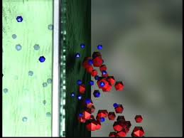 _________ ____________ is a characteristic of cell membranes that means what passes in and out is regulated. It allows some substances to cross the membrane more easily than others.