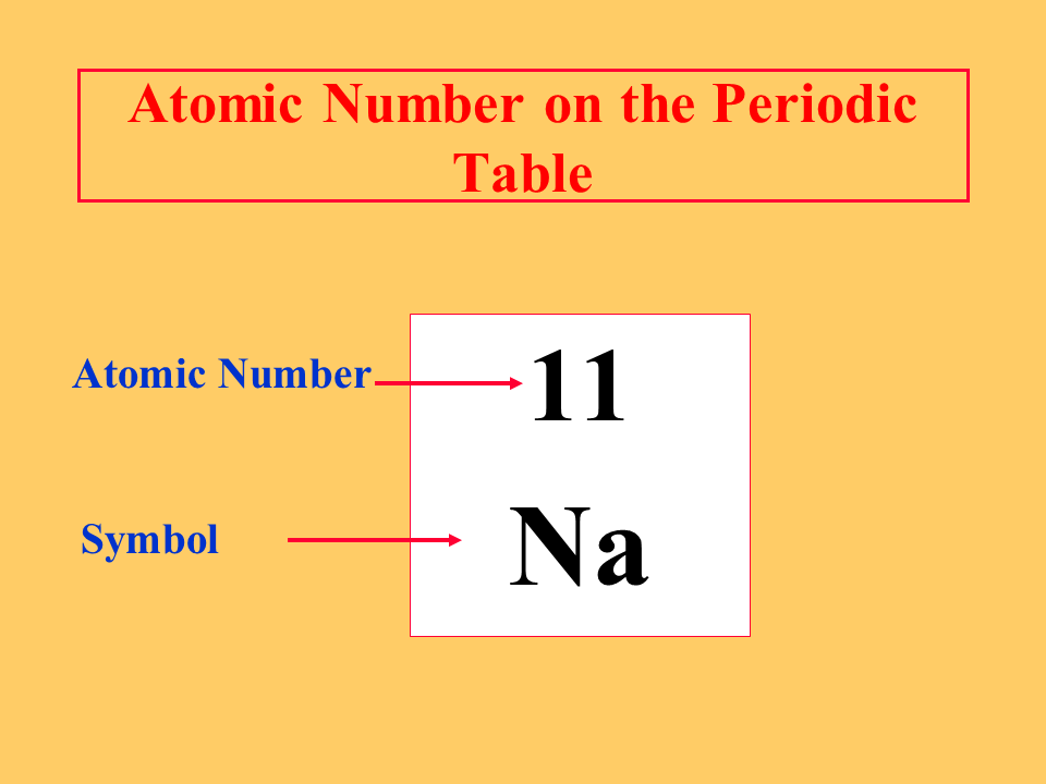 <p>The <strong>atomic number</strong> represents the number of <strong>protons</strong> in the nucleus of an atom.</p>