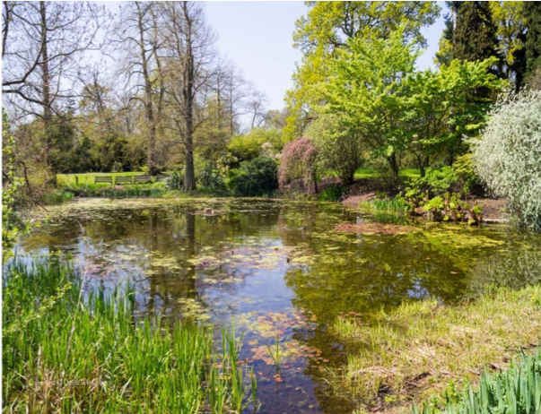 <ul><li><p>Stepping points for biodiversity in highly modified landscapes</p></li><li><p>Ponds often support greater diversity than other freshwater habitats (lakes/rivers), sustaining many rare and endangered aquatic taxa and act as important refuge in heavily modified landscape. </p></li><li><p>Contribute to regional biodiversity</p></li><li><p>Carbon sequestration</p></li><li><p>Water retention</p></li><li><p>Amenity &amp; education values</p></li></ul><p></p>