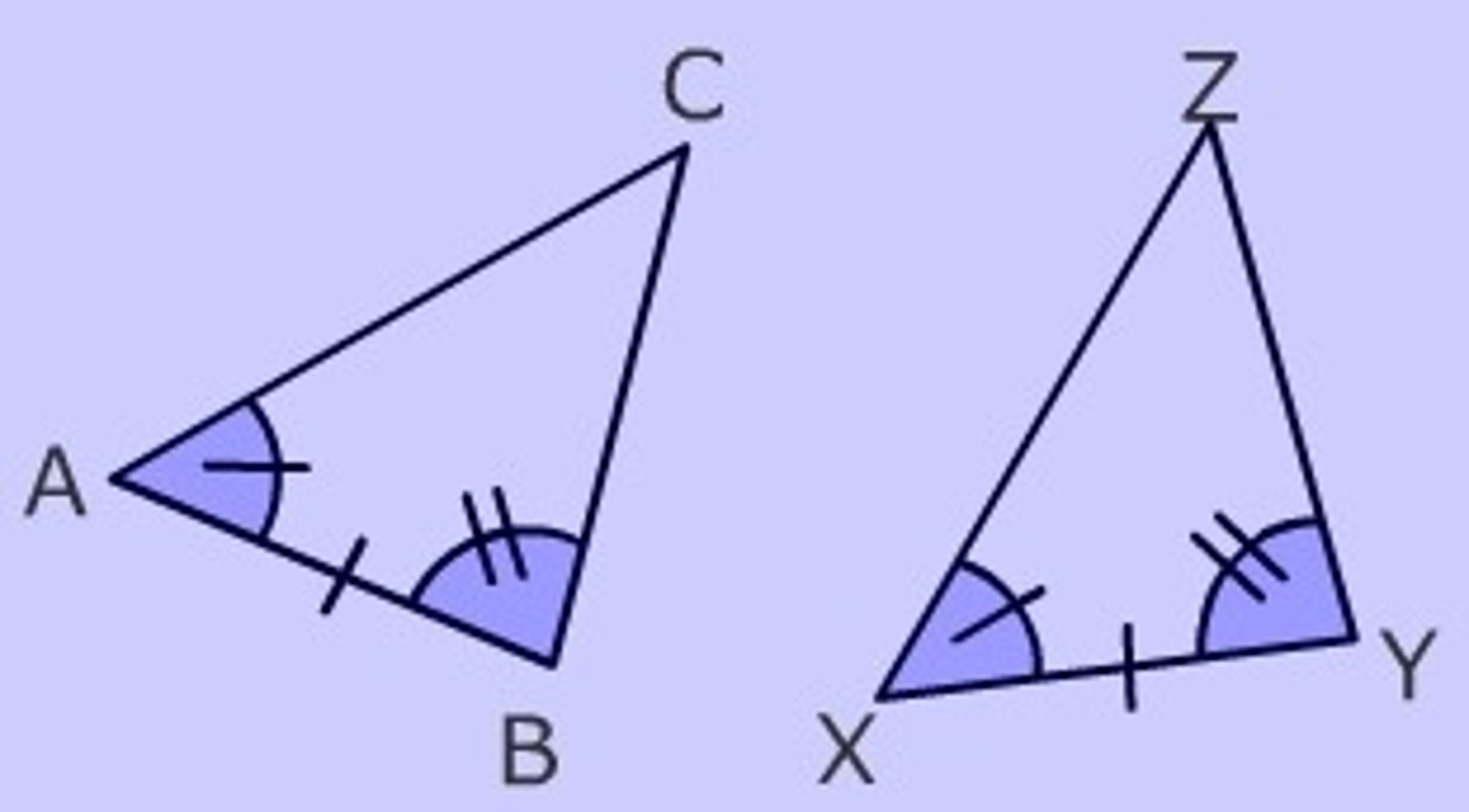 <p>included side (of a triangle)</p>