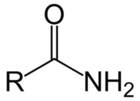 <p>Amide</p>
