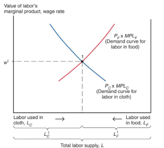 <p>labor is allocated so that the value of its marginal product (P x MPL) is the same in the cloth and food sectors. in equilibrium, the wage rate is equal to the value of labor’s marginal product </p>