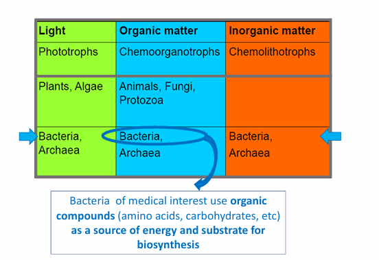 <p>Hay gran versatilidad metabólica: </p><ul><li><p>las bacterias pueden usar una gran diversidad de fuentes/sustratos sobre los cuales pueden producir carbono y energía</p></li><li><p>En medicina nos interesan::</p><ul><li><p>Las que usan como sustrato la materia orgánica como fuente de carbono y energía (para hacer su biosíntesis y multiplicarse).</p><ul><li><p>pero hay otras que hacen la fotosíntesis y otras que crecen y producen energía a través de materia inorgánica.</p></li></ul></li></ul></li></ul><p></p><p></p>