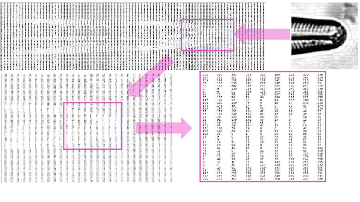 <p>images are just _______ of numbers</p>