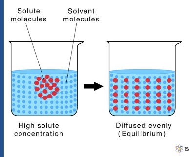 <p>What is this?</p>