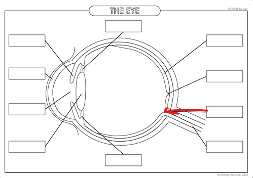 <p>What is the part in the diagram called?</p>