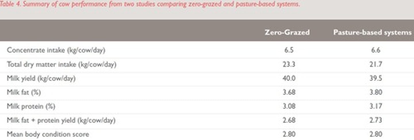 <p>Inflammation of the uterus affecting dairy cow health.</p>