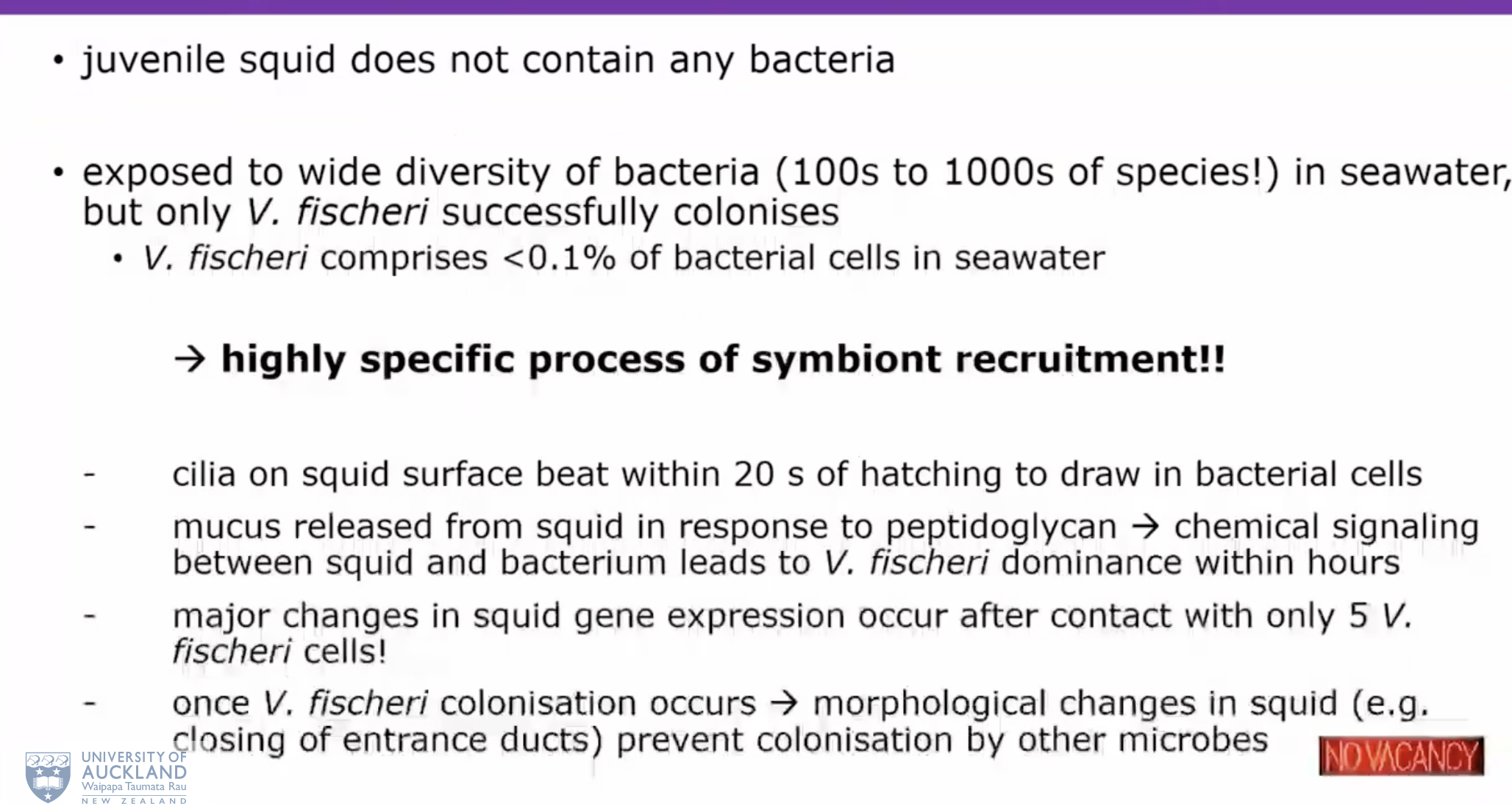 <p>Cillia on squid surface beat withing 20s of hatching to draw bacterial cells.  </p><p>mucus released from squid in response to peptidyglican causing chemical signals between the squid and bacterium leads vibro fisheri dominance within hours  </p><p></p><p>Major changes in squid gene expresion occur after contact with only 5 V fisheri cells. </p><p></p><p>once V fisheri cells colonisation occurs morphology of squid changes 9the opening of closing of ducts) prevents colonisation of other microbes. </p>