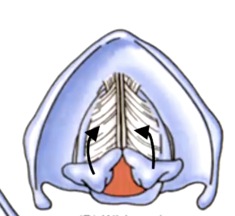 <p></p>