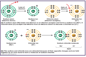 <ul><li><p>attraction holds the ions together to form a <strong>compound</strong></p><ul><li><p><strong>ex: NaCl</strong></p><ul><li><p>Na requires the loss of an electron to achieve stability and Cl requires the gain of an electron to achieve stability</p></li><li><p>Cl receives the electron from Na rather than sharing it : Cl becomes Cl- and Na becomes Na</p></li></ul></li></ul></li></ul>