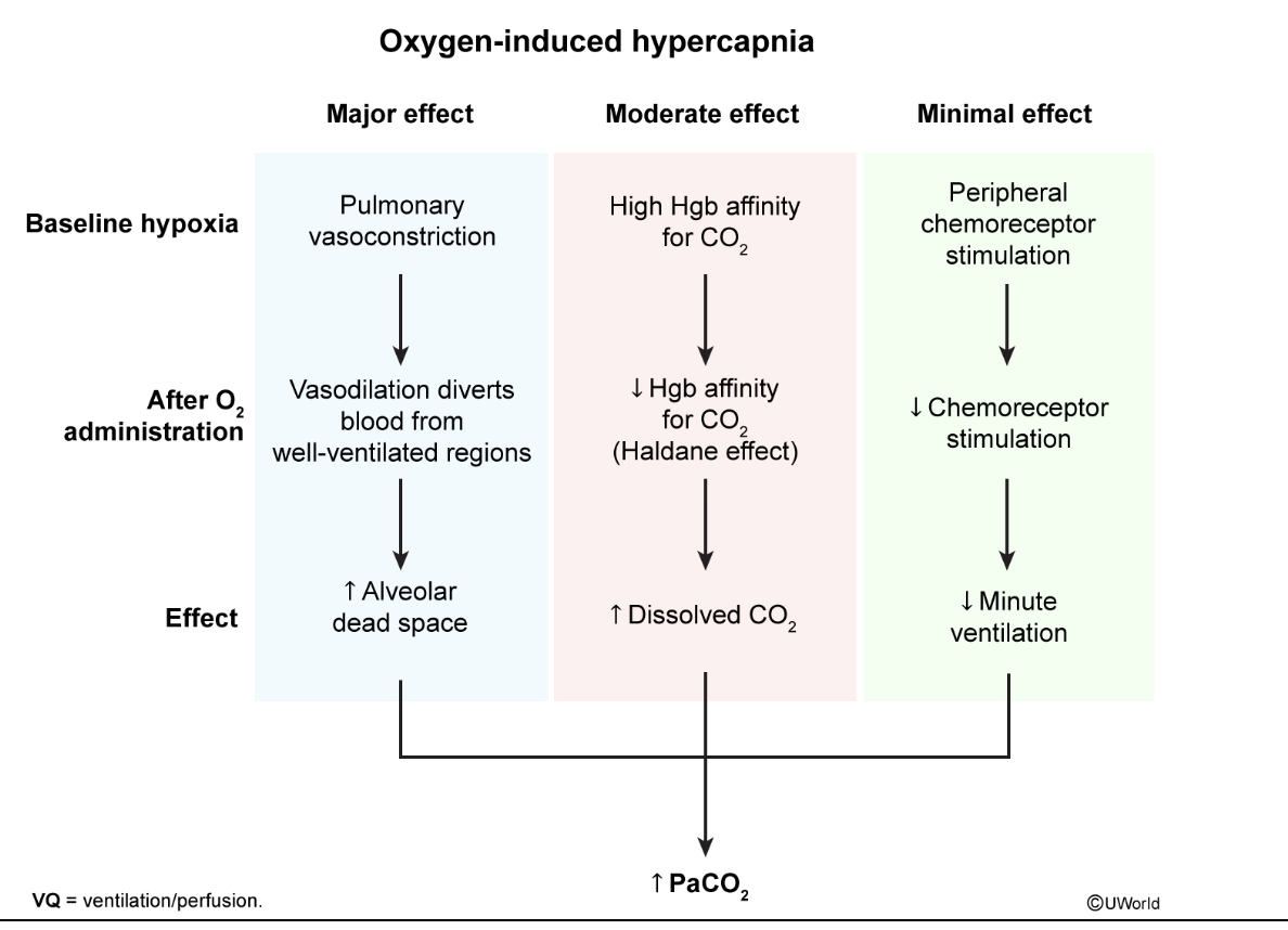<p>Hypercapnia in COPD patients physiology </p>