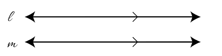 <p>Lines in a plane that never intersect and are always the same distance apart.</p>