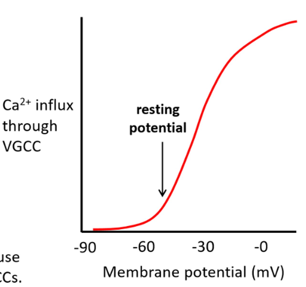 <p>- occur in visceral SMSs and some vascular smooth muscles, and their frequency is increased by stimuli which cause depolarisation or increase the amplitude of slow wave</p>