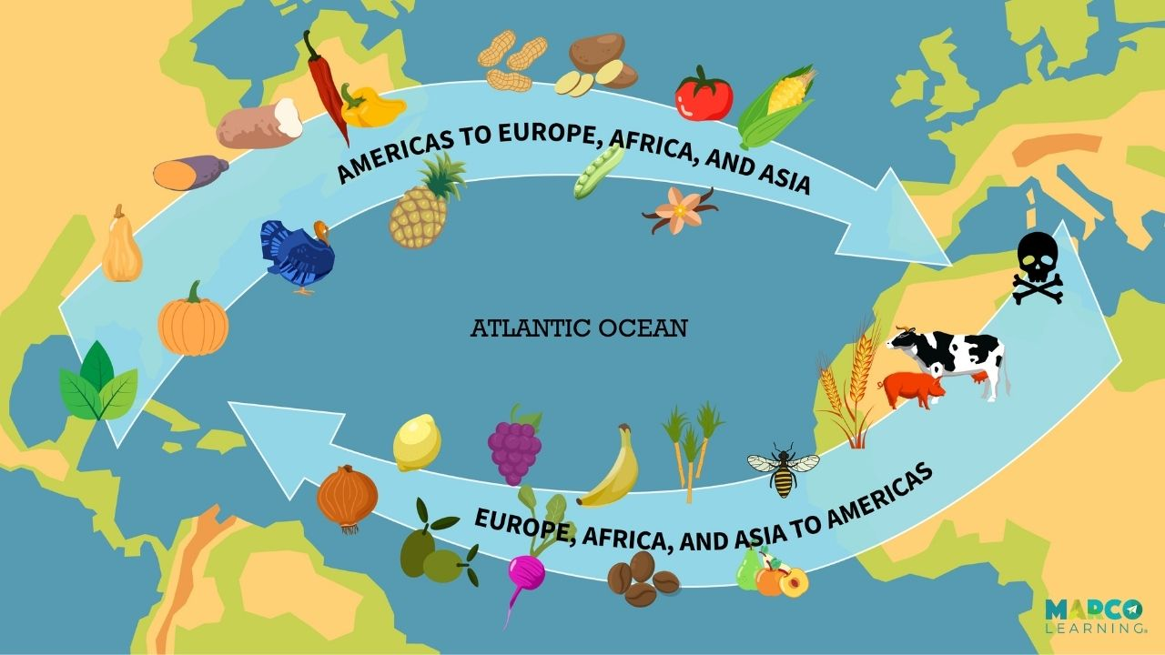<p>The transfer of food, animals, minerals, people, and diseases between Africa, europe, and the americas</p>