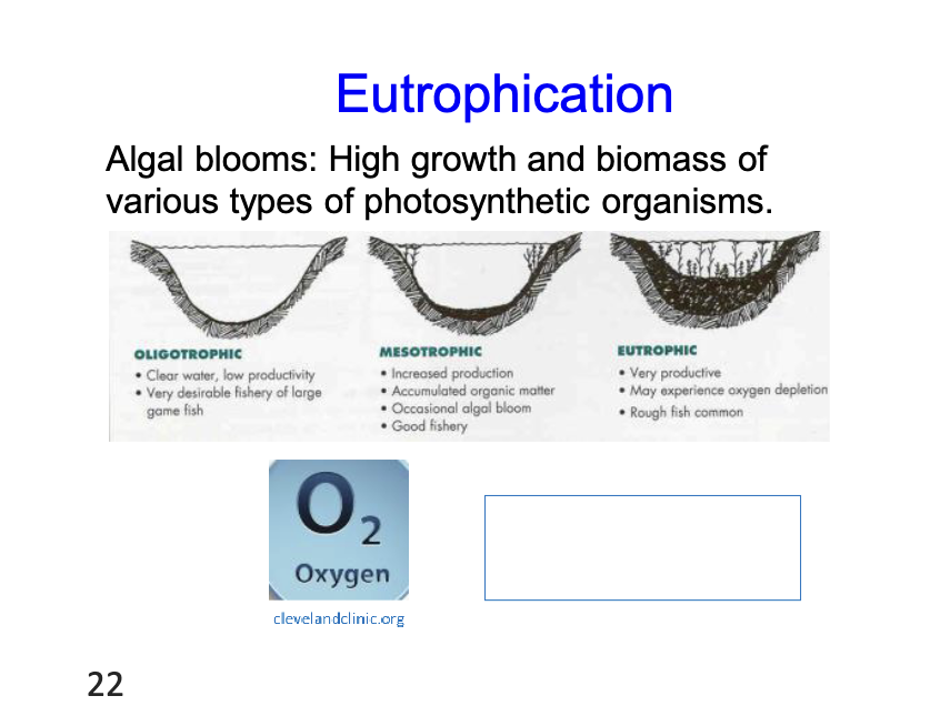 <p>algal blooms creates high growth and biomass of various types of photosynthetic organisms </p>