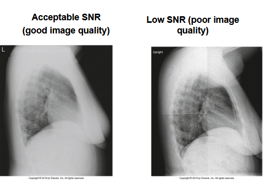 <p>What does this image show</p>