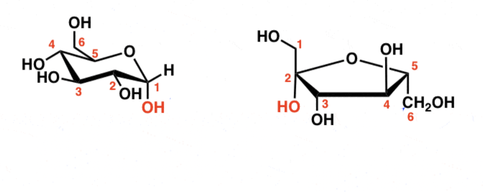 <p>Alpha and beta configurations for monosaccharides:</p>
