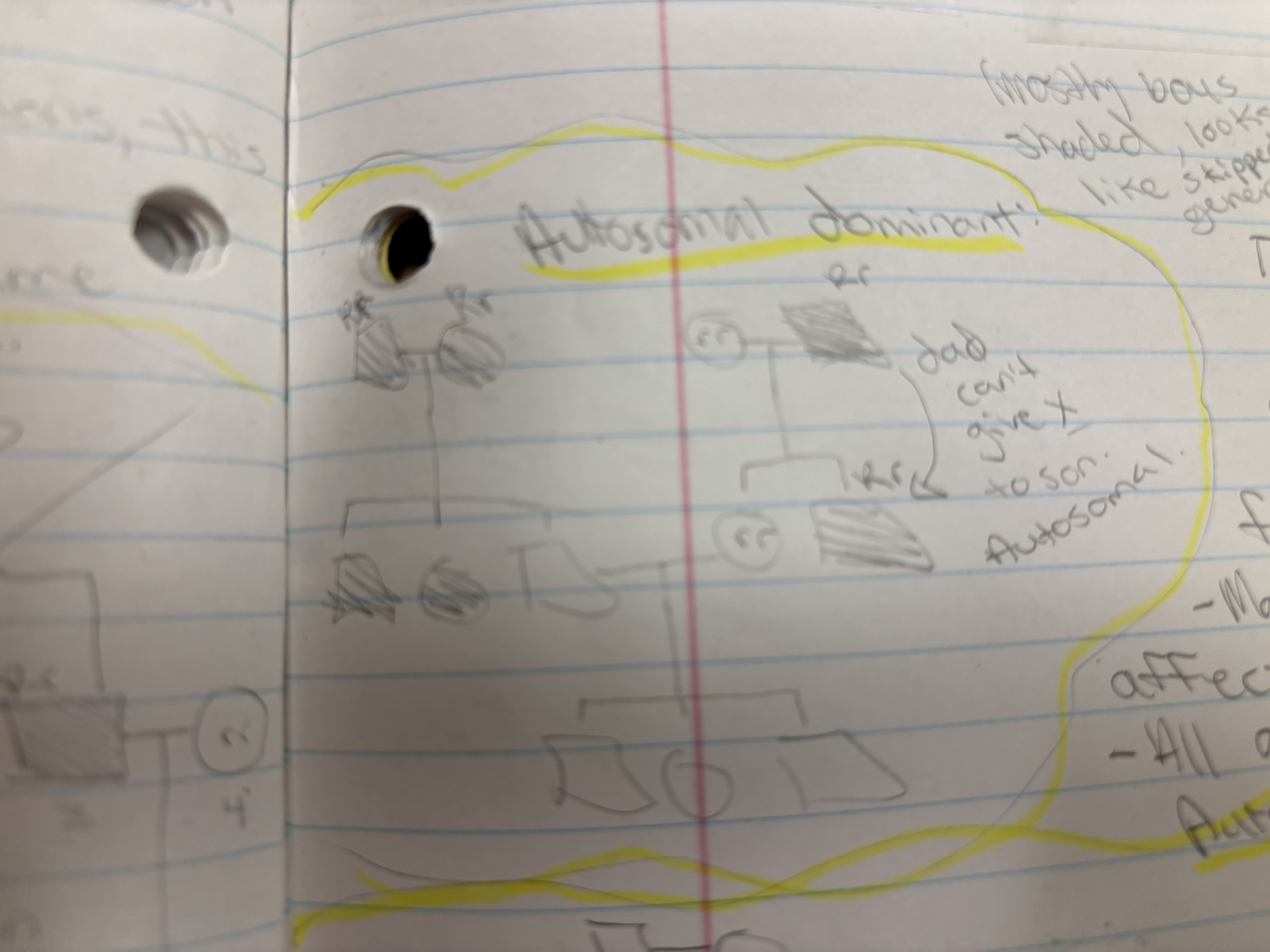 <p>The disease is passed from the father to the son, and this never happens with X-linked traits. The disease occurs in three consecutive generations, this never happens with recessive traits. And males and females are affected with roughly the same probability. Lot’s of shaded shapes.</p>