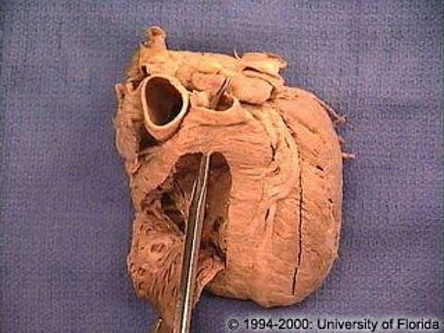 <p>What is this space?</p>