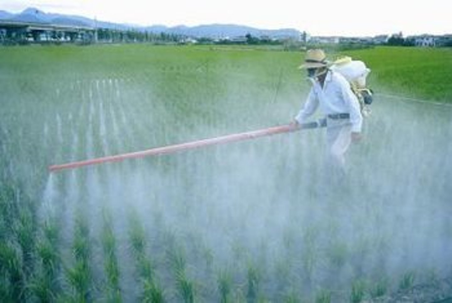 <p>Concentration increasing about 0.3% per year. Sources include burning of fossil fuels, use of fertilizers, burning biomass, deforestation, etc. Can come from livestock farts.</p><p>-stays in atmosphere 120 years</p>