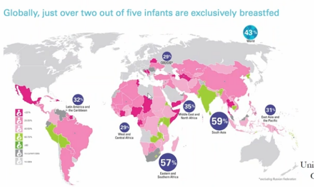 until 6 months 43% of the population is exclusively breastfed