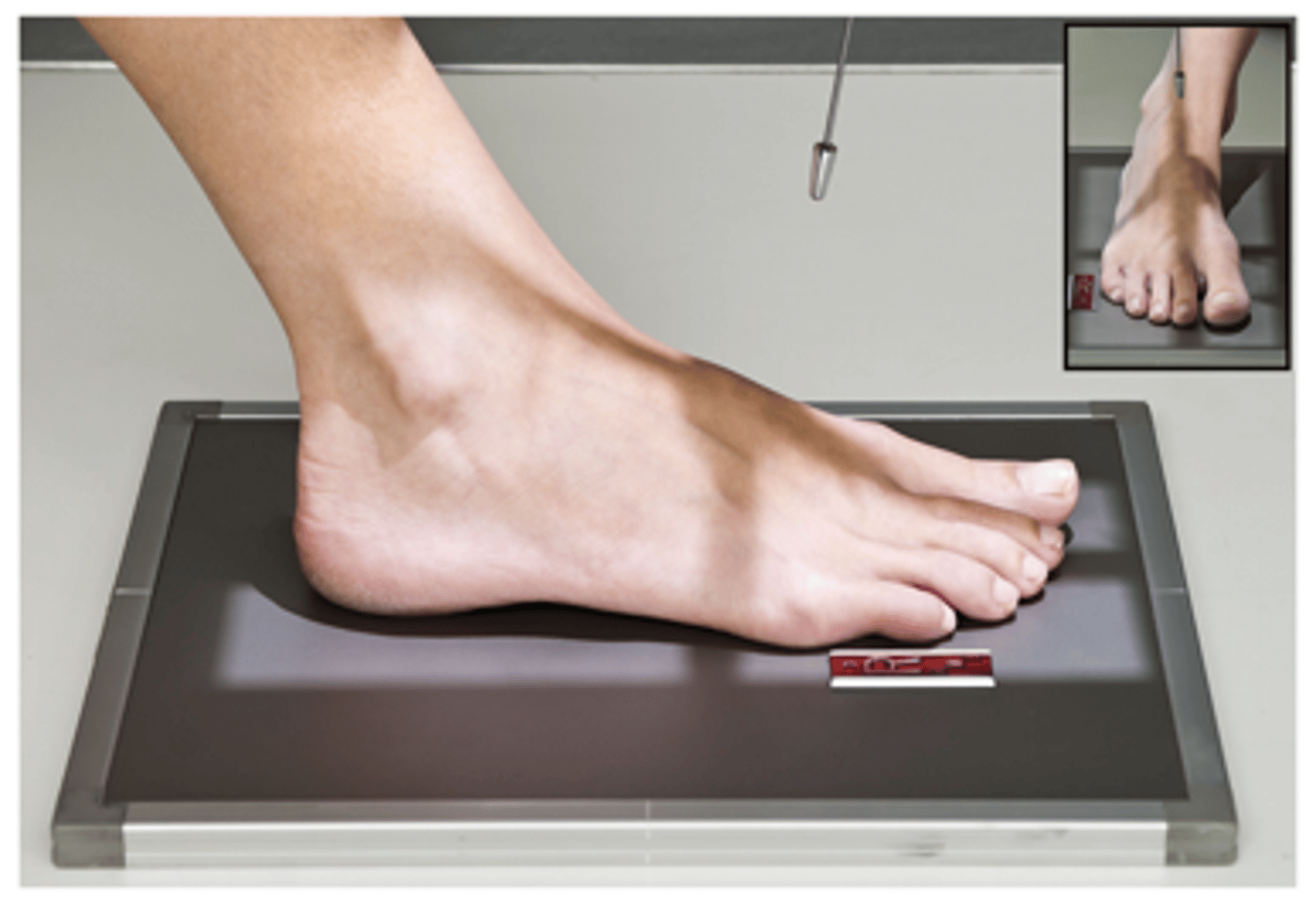 <p>What projection is this?</p>