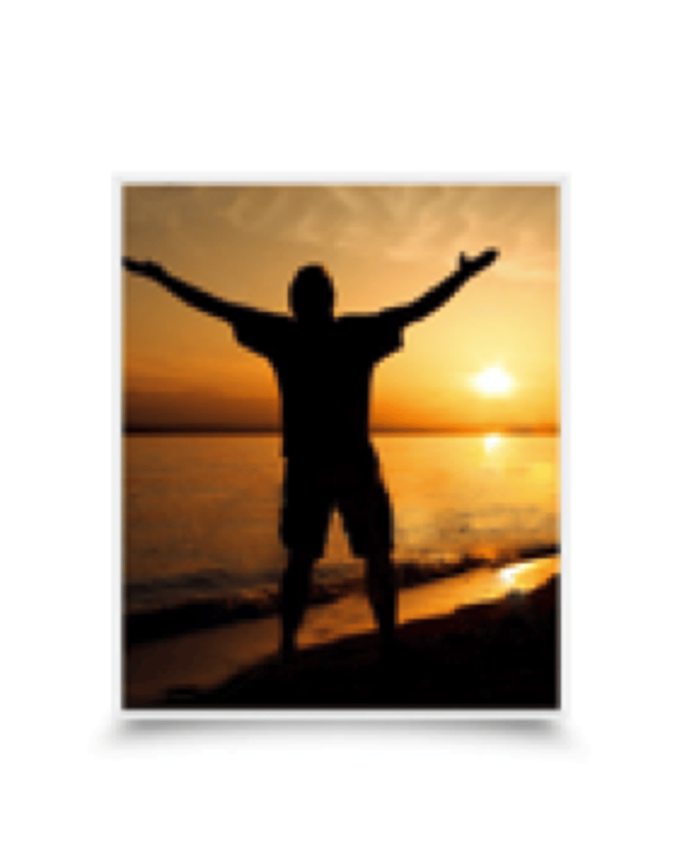 <p>Vivir</p>
