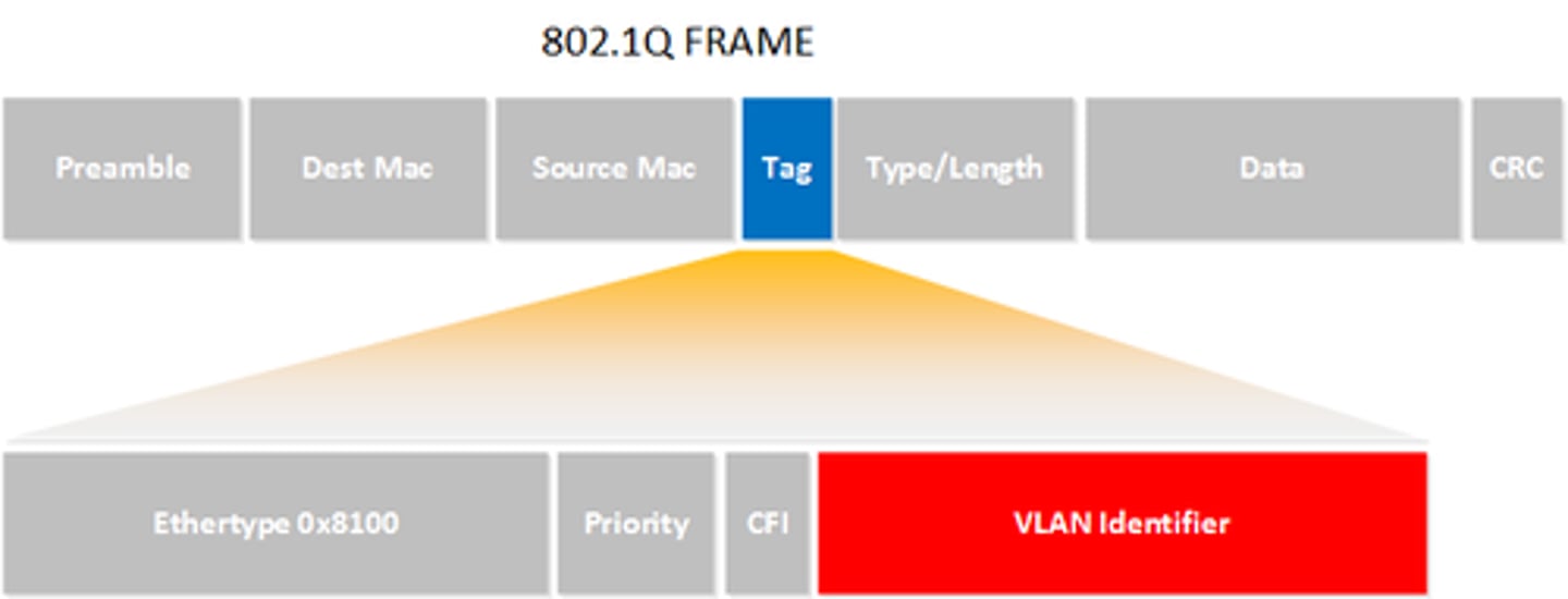 <p>Type, Priority, Flag, VLAN ID</p>
