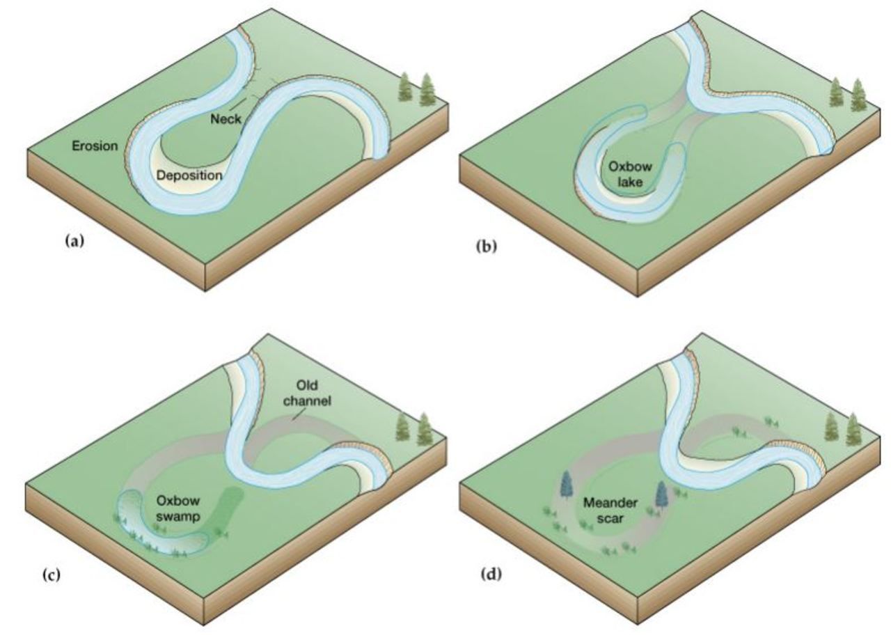 <p>dry, crescent-shaped depressions that remain after an oxbow lake has formed and the meandering river has been abandoned; results from river erosion; may fill with sediment or vegetation</p>