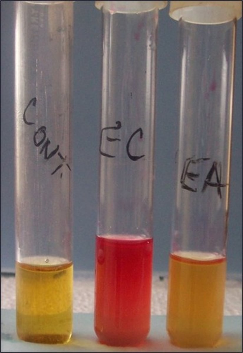 <p>These are the results for</p>