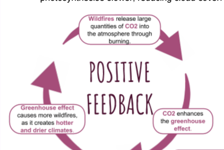 <p>Wildfires are more likely in hotter and drier climates created by global warming, which release large quantities of CO₂ into atmosphere, which in turn then increases the warming effect.</p><p class="is-empty is-editor-empty has-focus">● Ice reflects radiation from the sun, reducing surface warming. As sea temperatures rise and ice melts, the warming effect is amplified as there is less ice to reflect the radiation. Further melting occurs and the process continues.</p><p class="is-empty is-editor-empty has-focus">● Higher temperatures are thawing the permafrost releasing CO₂ and methane (which has 20 times the warming effect of CO₂), causing warming on a local and global scale. Permafrost is frozen ground that remains at a temperature of 0°C or lower for at least 2 consecutive years. The higher temperatures cause more permafrost to melt, causing further gas releases and further warming.</p>