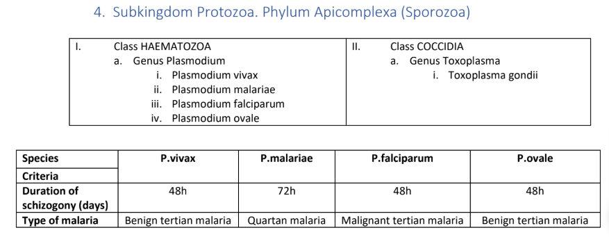 <ul><li><p>Toxoplasma gondii</p></li></ul><p></p>