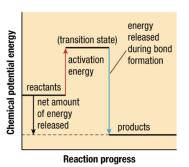 <p>what type of reaction</p>