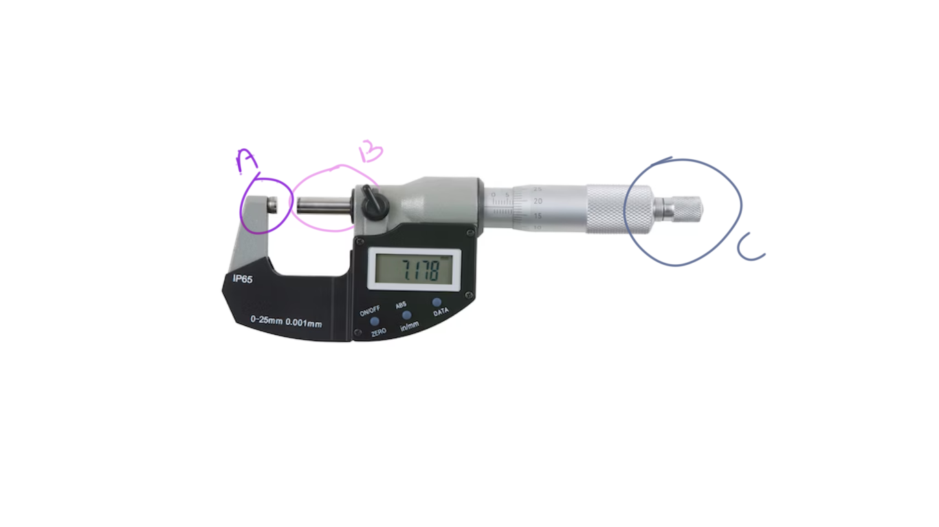 <p>What is the name and function of part C? </p>