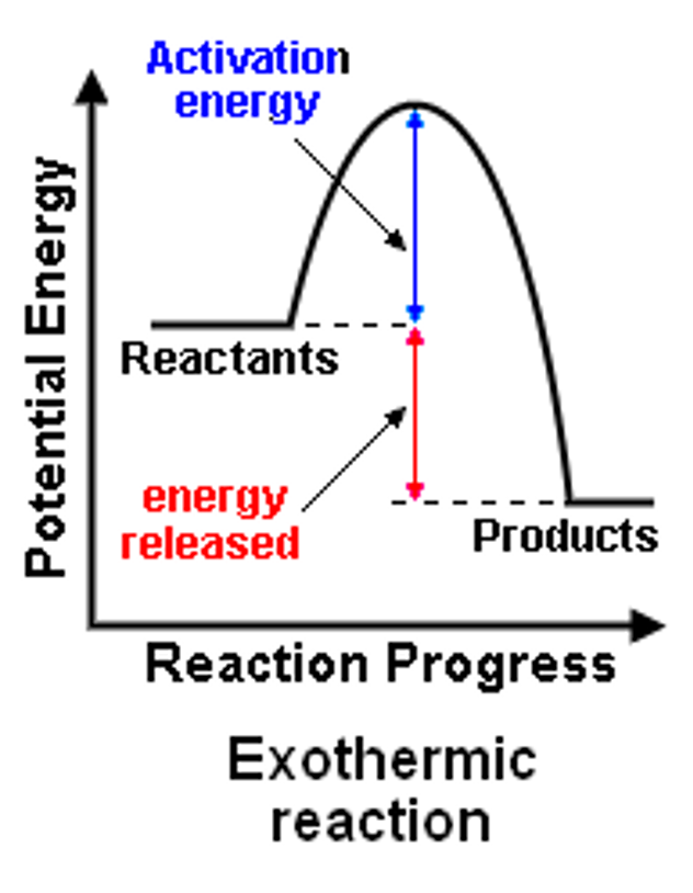 <p>the energy of the reactants is greater than the products (will overall release energy at the end)<span style="font-family: &quot;Cambria Math&quot;">∆H-</span></p>
