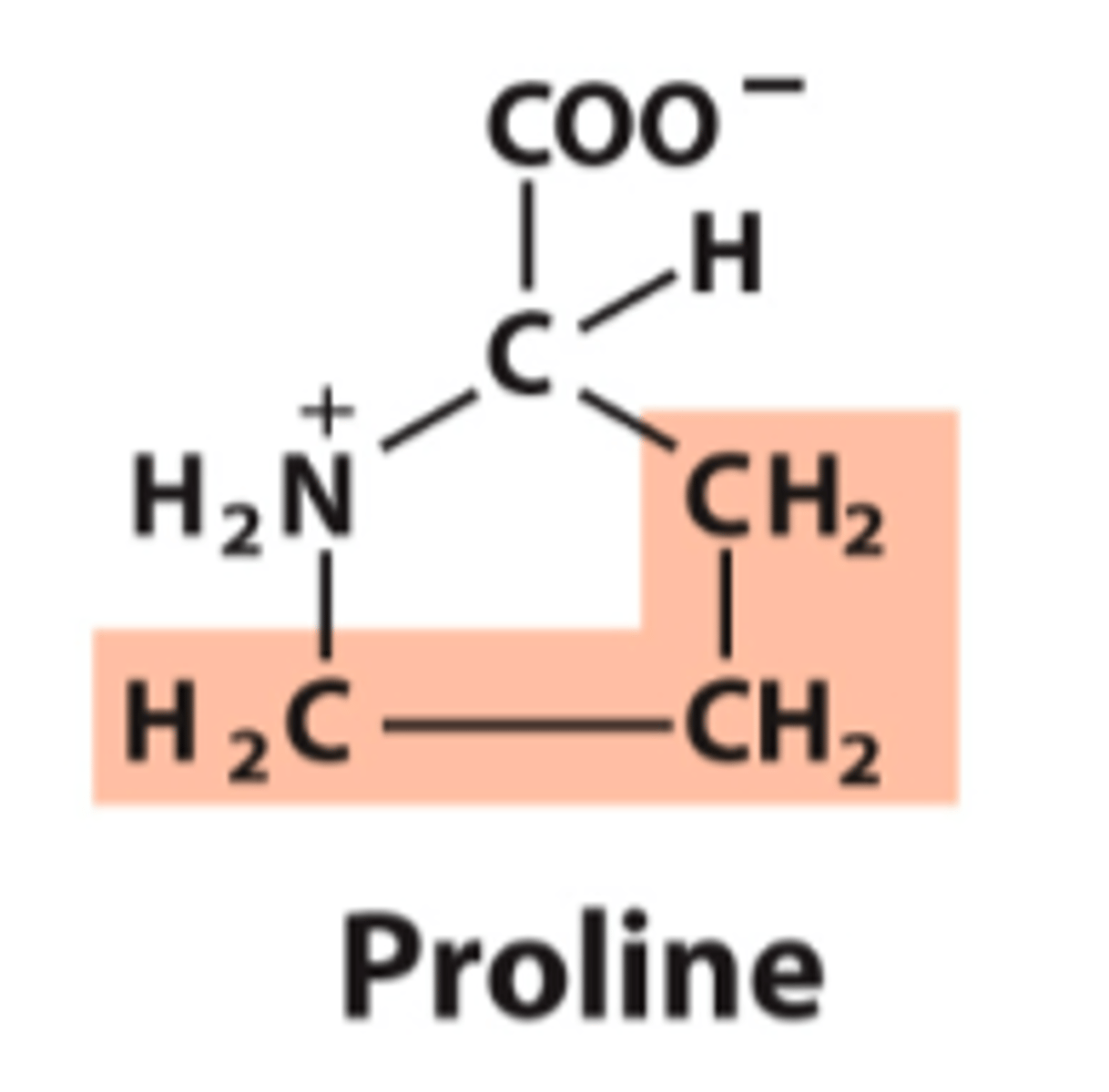 <p>What is the classification of this amino acid's R group?</p>