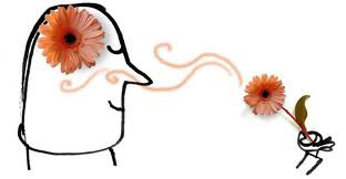 <p>stimuli that aid the recall or recognition of information stored in memory</p>