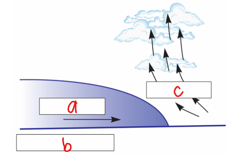 <p>What does b represent in the image?</p>