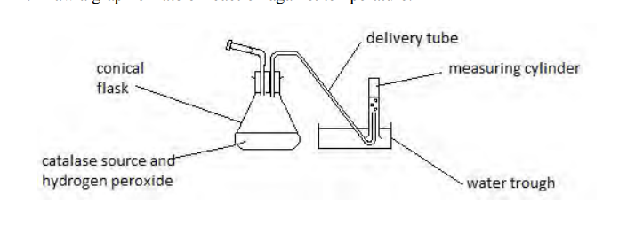 <ul><li><p><span style="line-height: 1.15;"><span>A conical flask/boiling tube containing the reaction mixture is connected via a delivery tube to an upside-down measuring cylinder in a water trough to collect and measure the gas (O</span><sub><span>2</span></sub><span>) produced</span></span><span><span>.</span></span></p></li></ul><p></p>