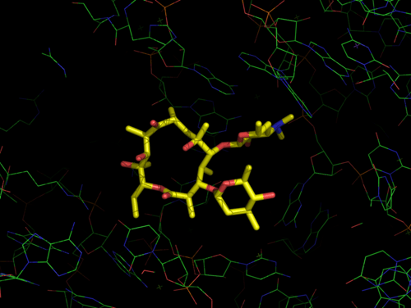 <p>- all oxygens point to one face and all methyls face back</p><p>- hydroxyls face cytosol, methyls into ribosome - stabilize</p>