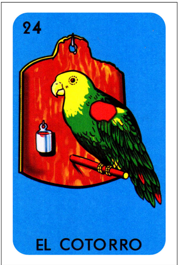 <p><em>Cotorro cotorro saca la pata, y empiézame a platicar.</em></p>