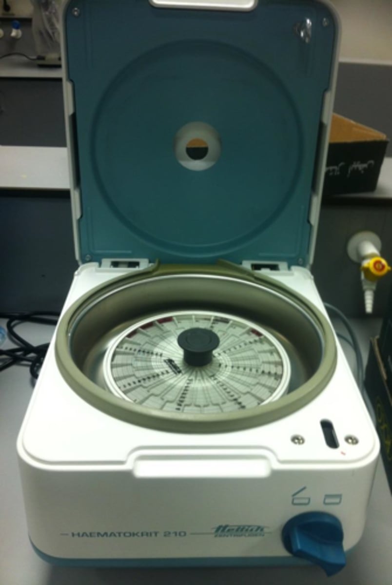 <p>What is this?</p>